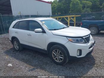  Salvage Kia Sorento