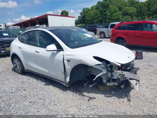  Salvage Tesla Model Y