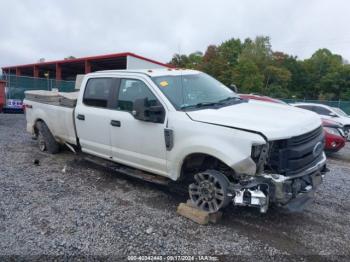  Salvage Ford F-250