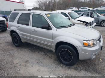  Salvage Ford Escape