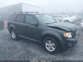  Salvage Ford Escape