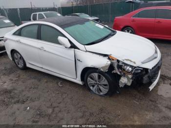  Salvage Hyundai SONATA