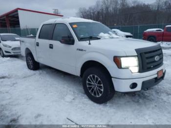  Salvage Ford F-150