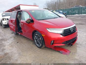  Salvage Honda Odyssey