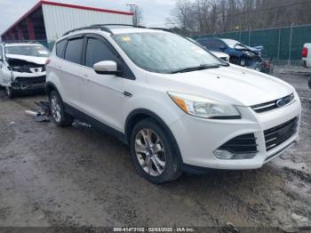  Salvage Ford Escape