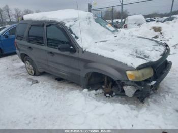  Salvage Ford Escape