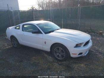  Salvage Ford Mustang