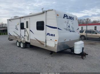  Salvage Palomino Puma