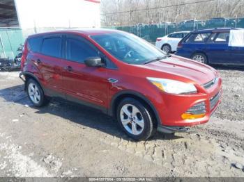  Salvage Ford Escape