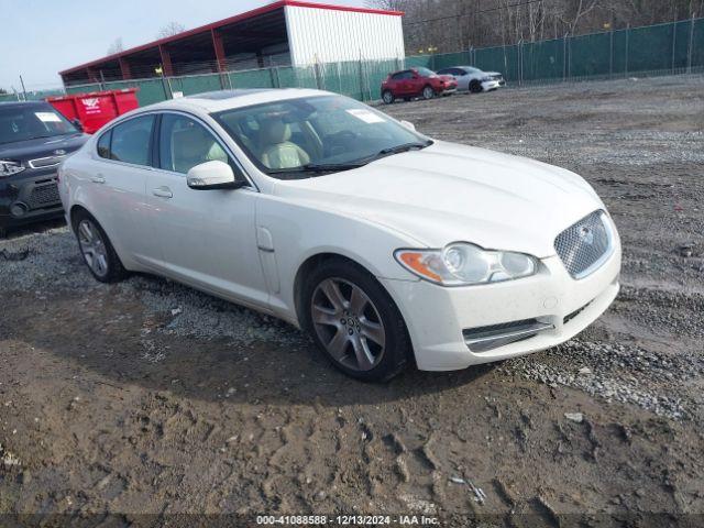  Salvage Jaguar XF