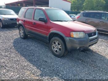  Salvage Ford Escape