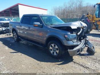  Salvage Ford F-150