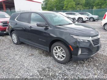  Salvage Chevrolet Equinox