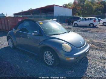  Salvage Volkswagen Beetle