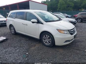  Salvage Honda Odyssey