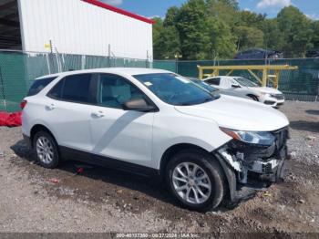  Salvage Chevrolet Equinox