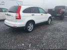 Honda CR-V Ex Image 3