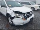 Honda CR-V Ex Image 5