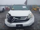 Honda CR-V Ex Image 10