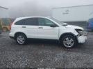 Honda CR-V Ex Image 14