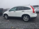Honda CR-V Ex Image 11