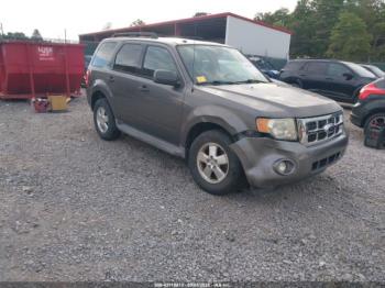  Salvage Ford Escape