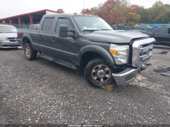  Salvage Ford F-250
