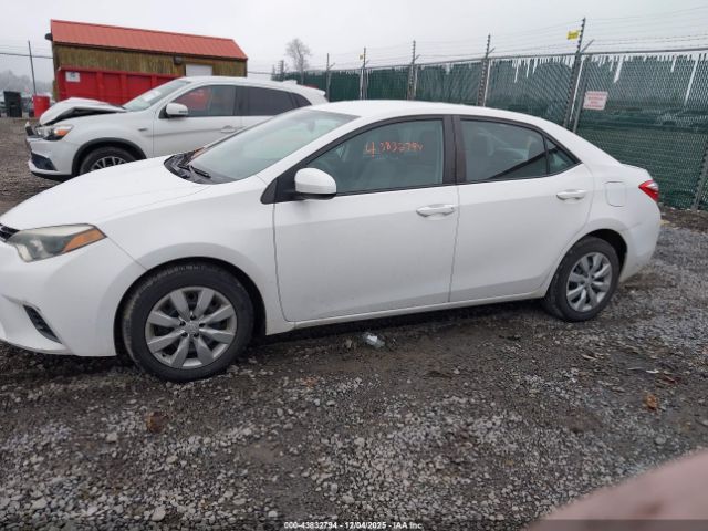 Toyota Corolla Le Image 17