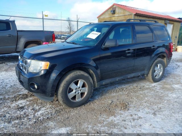 Ford Escape Xlt Image 2