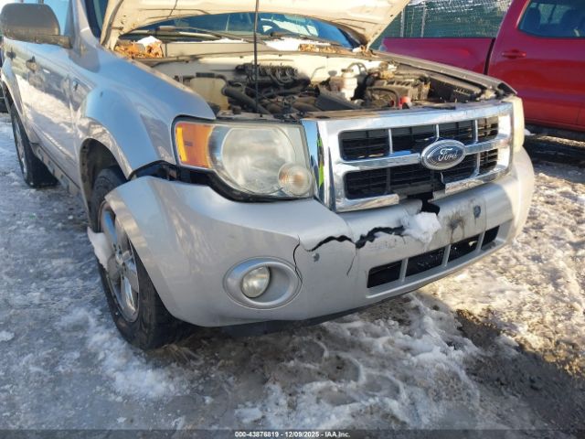 Ford Escape Xlt Image 7