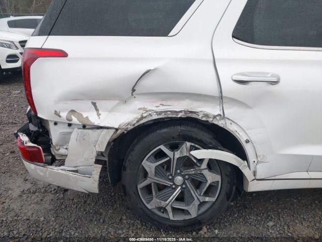 Hyundai PALISADE Calligraphy Image 9