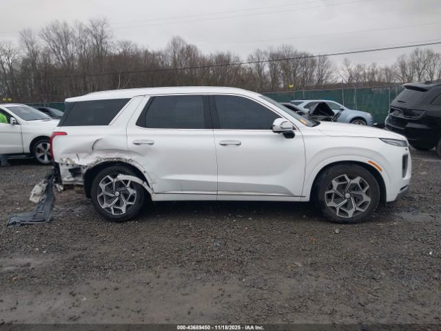 Hyundai PALISADE Calligraphy Image 17