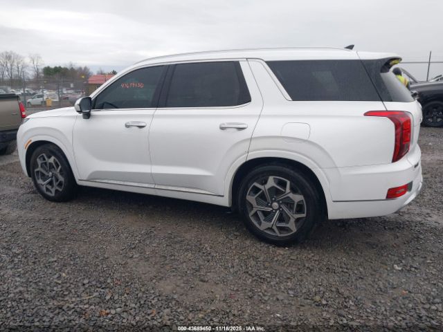 Hyundai PALISADE Calligraphy Image 2