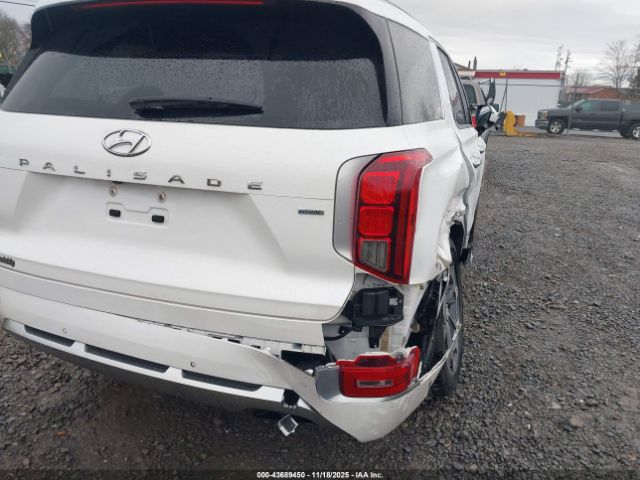 Hyundai PALISADE Calligraphy Image 6