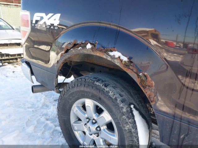 Ford F-150 Xlt Image 6