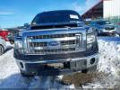 Ford F-150 Xlt Image 14