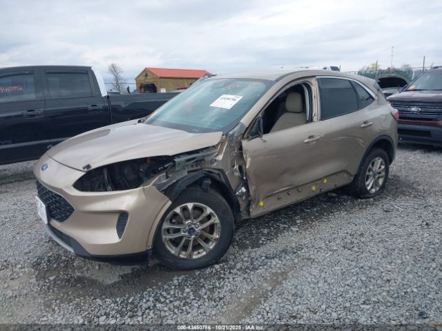 Ford Escape Se Hybrid Image 2