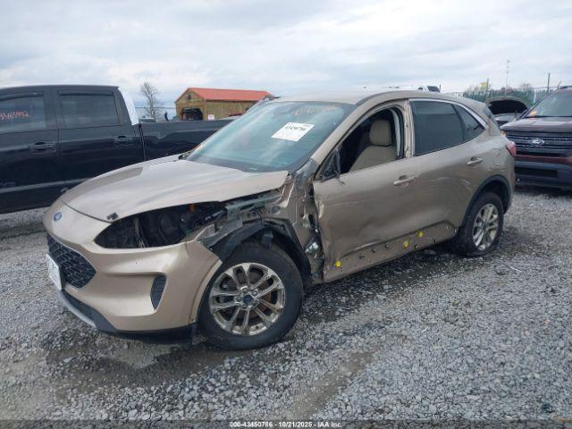 Ford Escape Se Hybrid Image 2