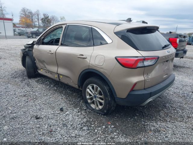 Ford Escape Se Hybrid Image 3
