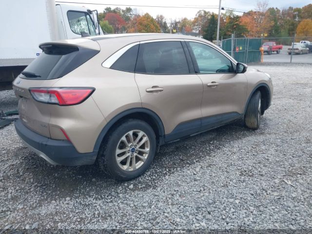 Ford Escape Se Hybrid Image 4