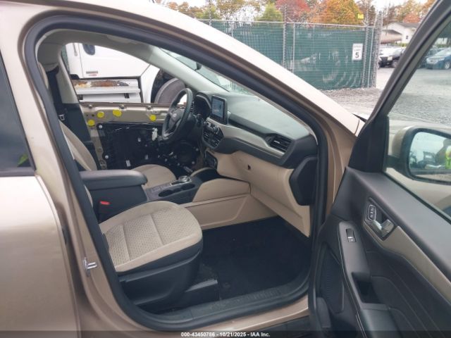 Ford Escape Se Hybrid Image 10