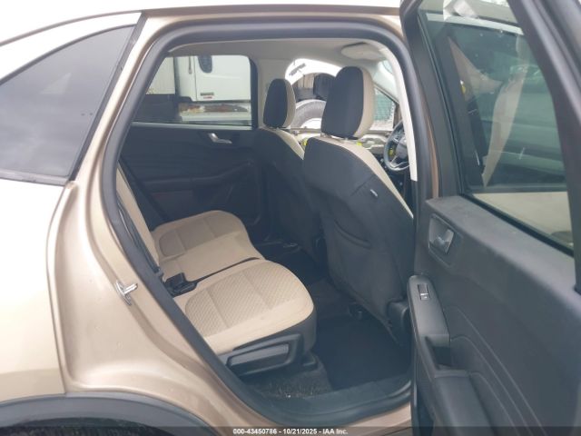 Ford Escape Se Hybrid Image 13