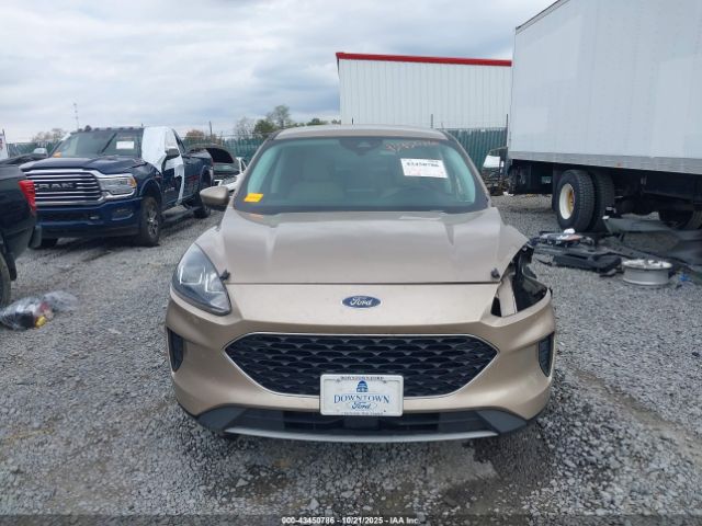 Ford Escape Se Hybrid Image 9