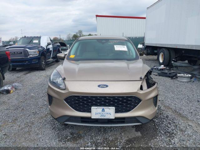 Ford Escape Se Hybrid Image 9