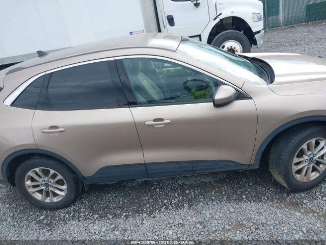 Ford Escape Se Hybrid Image 15