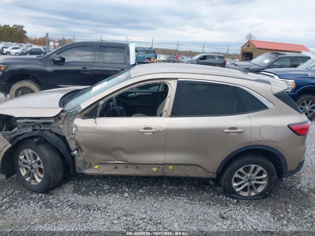 Ford Escape Se Hybrid Image 12