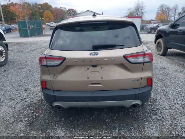 Ford Escape Se Hybrid Image 16